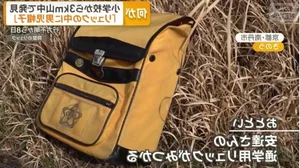 Shocking Truth Revealed in Case of Stepfather and Missing Child Disappearance - image 2