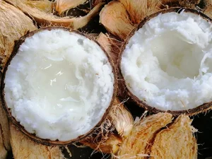 Discover 7 Must-Buy Tra Vinh Specialties and the Fruit Everyone is Seeking - image 2