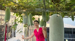Hanoi Rooftop Oasis: A Husband’s 100m2 Garden Gift for His Wife - image 11