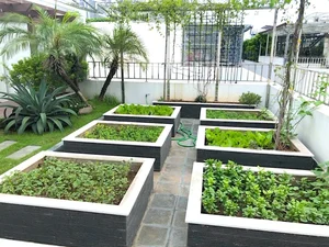 Hanoi Rooftop Oasis: A Husband’s 100m2 Garden Gift for His Wife - image 7