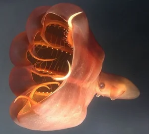 Deep Sea Wonders: 10 Exotic Invertebrates of the Ocean Floor - image 1