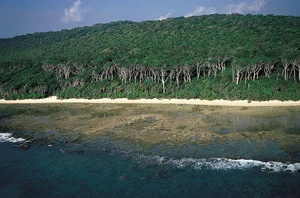 Snake Island: Inside the World’s Most Dangerous and Forbidden Place - image 4