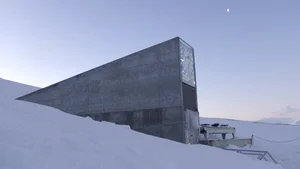 Snake Island: Inside the World’s Most Dangerous and Forbidden Place - image 5