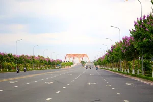 Discover the Dreamy Purple Crape Myrtle Road in Vinh Long Vietnam - image 5