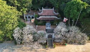 Discover the 600-Year-Old Ancient Le Lai Temple in Thanh Hoa - image 4