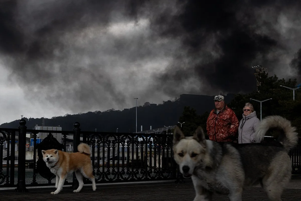 Tuapse Environmental Crisis: Oil Spills and Cleanup After Drone Attacks