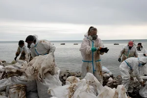 Tuapse Environmental Crisis: Oil Spills and Cleanup After Drone Attacks - image 5