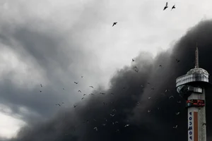 Tuapse Environmental Crisis: Oil Spills and Cleanup After Drone Attacks - image 12