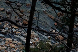 Tuapse Environmental Crisis: Oil Spills and Cleanup After Drone Attacks - image 2
