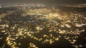 Chong đèn kích hoa nở bán Tết - image 7