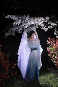 YiTuYu Art Language Vol.4262: The Ethereal Aesthetic of Wu Sui in Modern Photography - image 8
