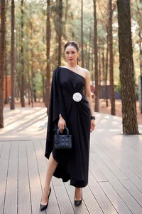 Hong Diem: From Humble Beginnings to VTV Rating Queen’s Modest Luxury - image 9