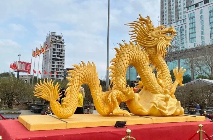 Dragon Mascots Take Over: The Good, The Bad, and The Hilarious of 2024