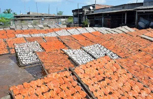 The Traditional Dry Fish Craft of Cai Doi Vam: Ca Mau’s Largest Seafood Village Prepares for Tet Holiday - image 7