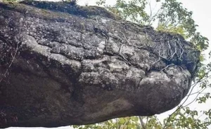 Uncovering the Mystery of Thailand’s Sacred Giant Snake Cave - image 6