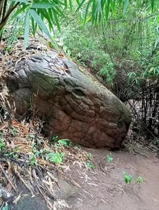 Uncovering the Mystery of Thailand’s Sacred Giant Snake Cave - image 8