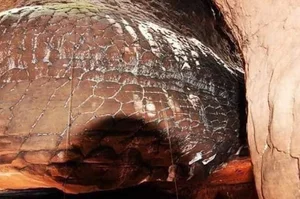 Uncovering the Mystery of Thailand’s Sacred Giant Snake Cave - image 7