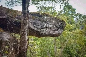 Uncovering the Mystery of Thailand’s Sacred Giant Snake Cave - image 1