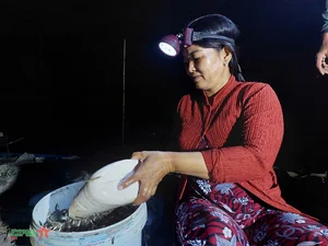 Life on the Water: Capturing the Floating Season of An Giang Border Region - image 1