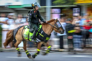 Spectacular Cavalry Performance and Police Horse Parade in Ho Chi Minh City - image 5