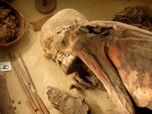 5,600-Year-Old Mummy Reveals Incredible Secrets from the Past - image 6