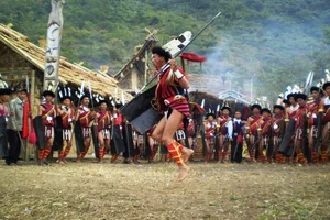 Timeless Beauty of Naga People: A Journey into Tribal Culture and Heritage - image 2