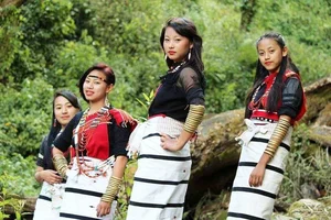 Timeless Beauty of Naga People: A Journey into Tribal Culture and Heritage - image 8