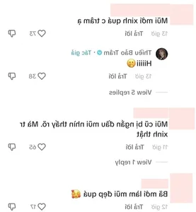 Thiều Bảo Trâm's Visual Evolution: Fans Debate New Look and Style Transformation - image 1