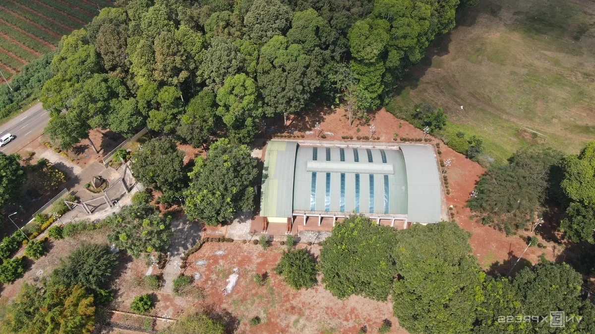 Ancient 2,000-Year-Old Stone Tomb Discovered in the Middle of Rubber Plantation