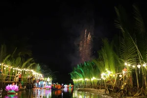 Thousands of Lanterns Illuminate the Tinh Khe Coconut Forest Night - image 1