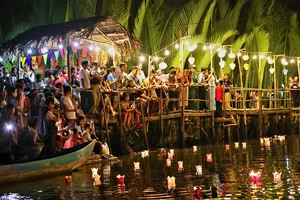 Thousands of Lanterns Illuminate the Tinh Khe Coconut Forest Night - image 12
