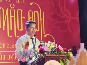 Thousands of Lanterns Illuminate the Tinh Khe Coconut Forest Night - image 6