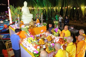 Thousands of Lanterns Illuminate the Tinh Khe Coconut Forest Night - image 8
