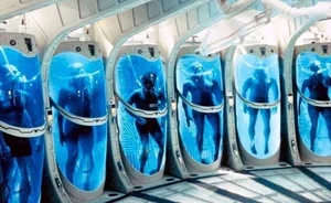 Revolutionary Cryogenics: The Science of Waking Up After 100 Years of Hibernation - image 5