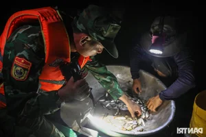 Border Guards Combat Smuggling During Mekong Delta's Floating Season - image 6