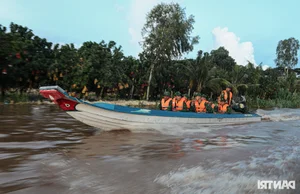 Border Guards Combat Smuggling During Mekong Delta's Floating Season - image 3