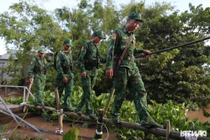 Border Guards Combat Smuggling During Mekong Delta's Floating Season - image 1
