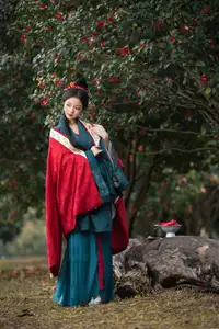 Elegant Qi Ni Si Mao: A Timeless Portrait in Traditional Attire & Camellias - YiTuYu Vol.8689 - image 12