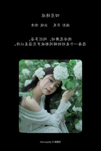 YiTuYu Art Language Vol.6912 Featuring the Elegant Wo Bu Shua Niao Photography Collection - image 11