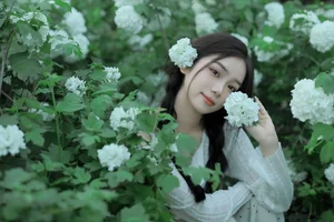 YiTuYu Art Language Vol.6912 Featuring the Elegant Wo Bu Shua Niao Photography Collection - image 9