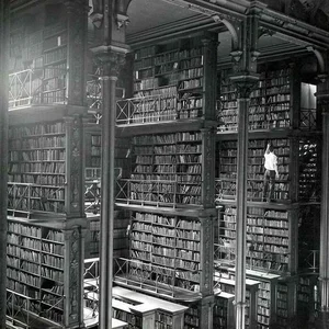 Rare Historical Photos Revealing Daily Life Around the World - image 9