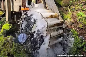 The Simple Life of an 80-Year-Old Man Living Off-Grid in the Forest - image 2