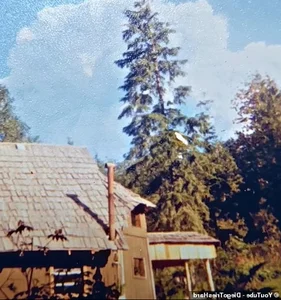 The Simple Life of an 80-Year-Old Man Living Off-Grid in the Forest - image 0