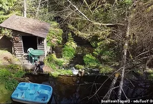The Simple Life of an 80-Year-Old Man Living Off-Grid in the Forest - image 8