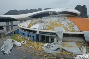 The Aftermath: Documenting the Devastation of Super Typhoon Yagi - image 4