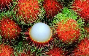 Why Everyone Is Buying This Unique Wild Yellow-Fleshed Rambutan Fruit - image 2