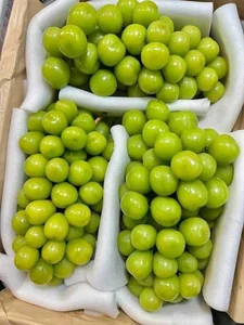 Exotic Fruits Once Considered Luxury Now Affordable in Local Markets - image 5