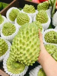 Exotic Fruits Once Considered Luxury Now Affordable in Local Markets - image 8