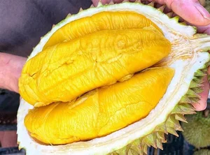 Exotic Fruits Once Considered Luxury Now Affordable in Local Markets - image 6