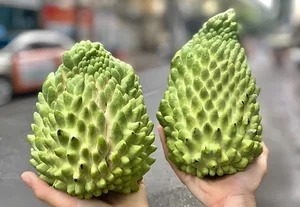 Exotic Fruits Once Considered Luxury Now Affordable in Local Markets - image 7